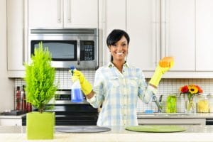 Professional House Cleaning Services